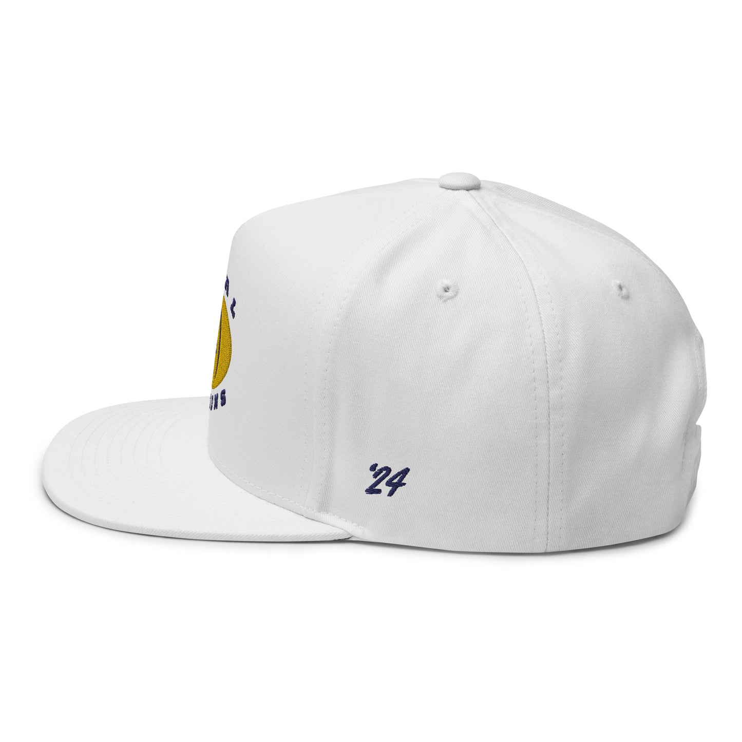 Michigan Wolverines - National Champions